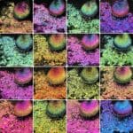 Multichrome Hypershift Chameleon Flakes - Image 6